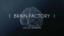 Фабрика мозгов / Brain Factory (2017)