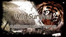 Выживание в дикой природе 1 серия. Тигр - охотник за гориллами / Wild Survival (2015)