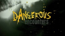 Опасные встречи: смертоносные змеи / Dangerous encounters (2006)