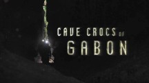 Пещерные крокодилы Габона / Cave Cross of Gabon (2018)