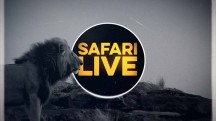 Сафари в прямом эфире: Миграция 2 серия / Safari Life (2019)