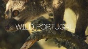 Дикая природа Португалии / Wild Portugal (2019)