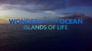 Чудеса океана 1 серия. Острова жизни / Wonders of The Ocean (2019)