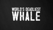 Самый смертоносный кит / World's Deadliest Whale (2020)