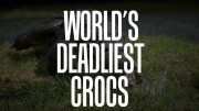 Самые опасные крокодилы мира / World's Deadliest Crocs (2019)