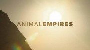 Животные империи 1 серия. Семья / Animal Empires (2016)