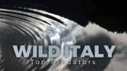 Дикая Италия. Высшие Хищники 06 серия. Крылатые нападающие Рима / Wild Italy: Top Predators (2018)