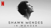 Шон Мендес: In Wonder / Shawn Mendes: In Wonder (2020)