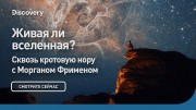 Живая ли Вселенная? Сквозь кротовую нору