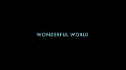 Чудесный мир / Wonderful World (2015)