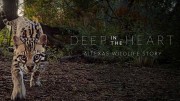 Глубоко в сердце: история дикой природы Техаса / Deep in the Heart: A Texas Wildlife Story (2022)