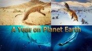 Год на планете Земля (все серии) / A Year on Planet Earth (2022)