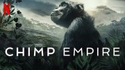 Империя шимпанзе (все серии) / Chimp Empire 2023