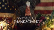 Пир на день Благодарения / Animals of Thanksgiving (2021)