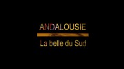 Андалусия. На перекрестке цивилизаций / Andalousie. La belle du Sud (2020)