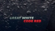 Белая акула. Код красный / Great White Code Red (2018)